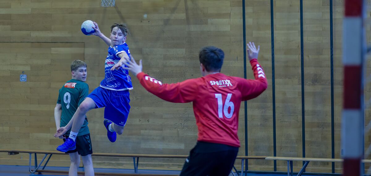 SG Pilatus Handball U15Elite Einzug in den Playofffinal geschafft